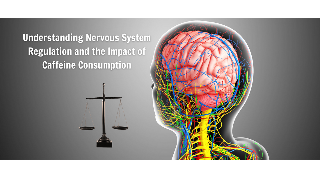 Understanding nervous system regulation and the impact of caffeine consumption